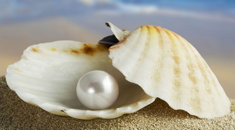 La perla preziosa e il tesoro nascosto – XVII Domenica Ord A