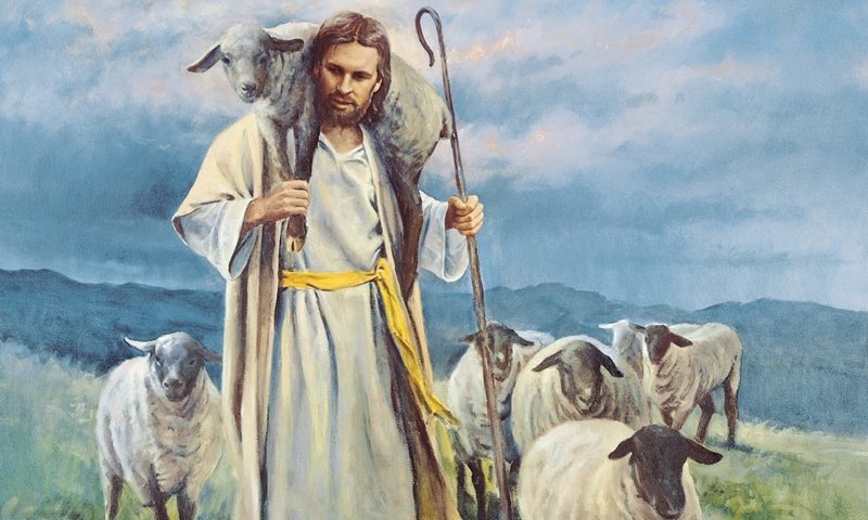 Il Sacerdote e la sua delicata missione – IV Domenica di Pasqua (B)