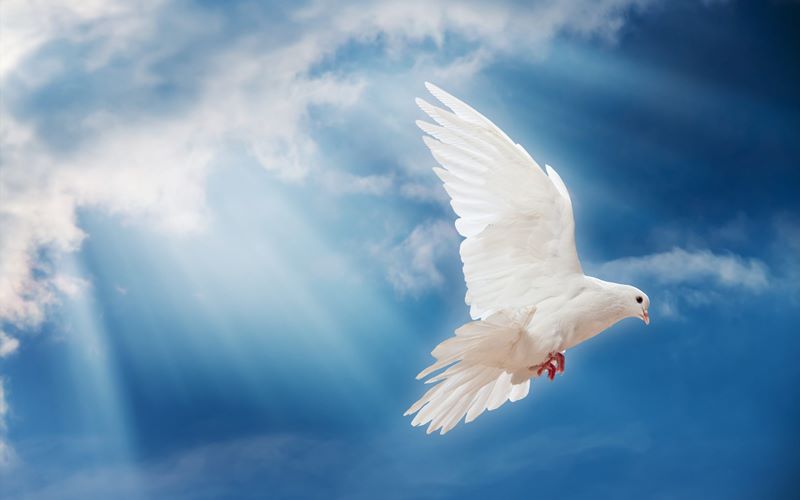 La perenne effusione dello Spirito Santo – Pentecoste (B)
