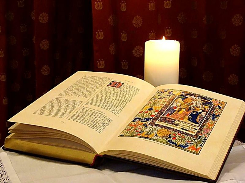 La fede nel Vangelo salva – VIII Domenica Ord (C)