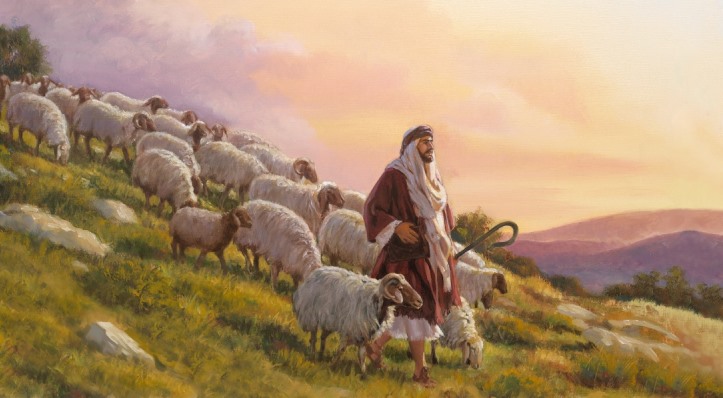 Pecorelle di Gesù Buon Pastore – IV Domenica di Pasqua (C)