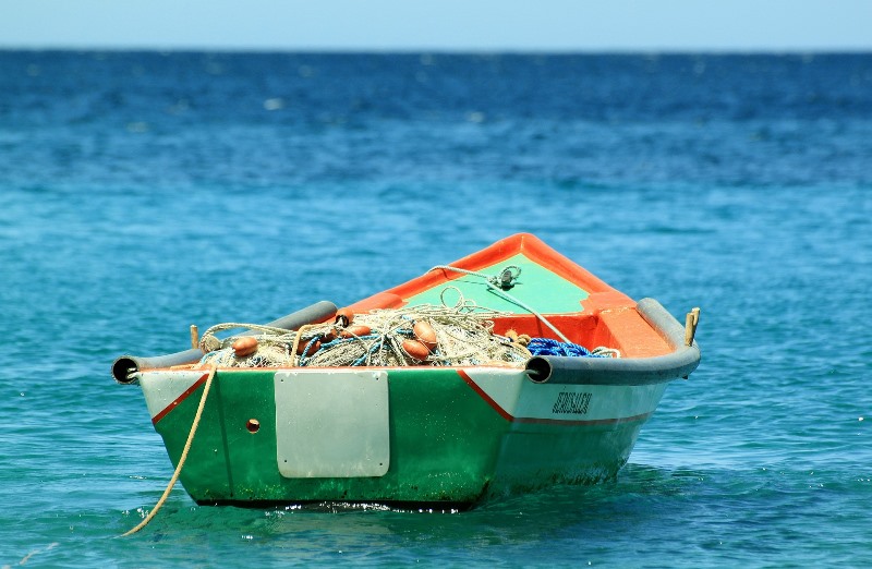 Vi farò diventare pescatori di uomini