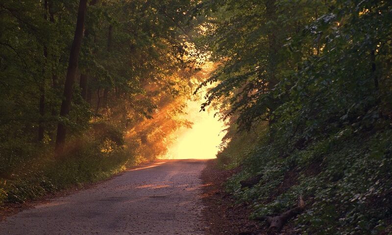 Dopo il suo intimo tormento vedrà la luce