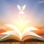 Spirito Santo e Sacra Scrittura: unità inscindibile – Pentecoste (C)