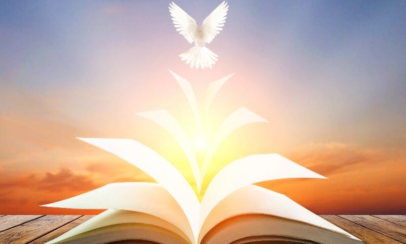 Spirito Santo e Sacra Scrittura: unità inscindibile – Pentecoste (C)