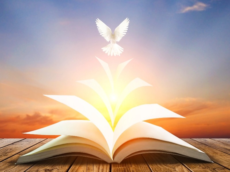 Spirito Santo e Sacra Scrittura: unità inscindibile – Pentecoste (C)